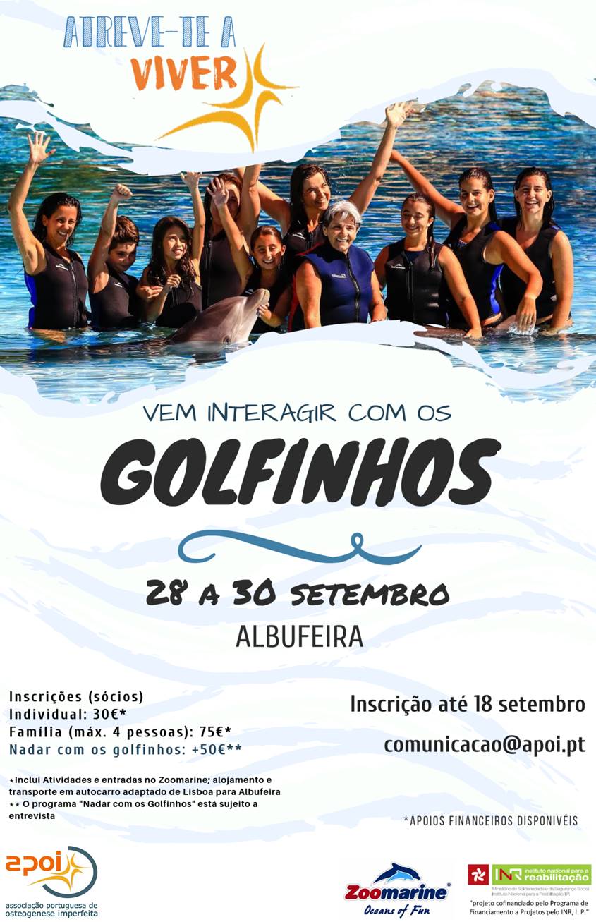 Imagem1